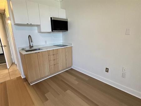 Studio - Saint-Charles-Borromée - $1,099 /mo