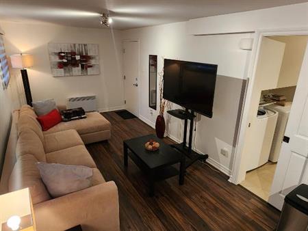 ROSEMONT - MAINTENANT – TOUT CECI MEUBLÉ- Neuf 3 1/2 – BACHELOR