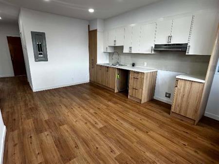 Grand 51/2 rénové/3chambres/wi-fi inclus/1050pi2/ haut duplex