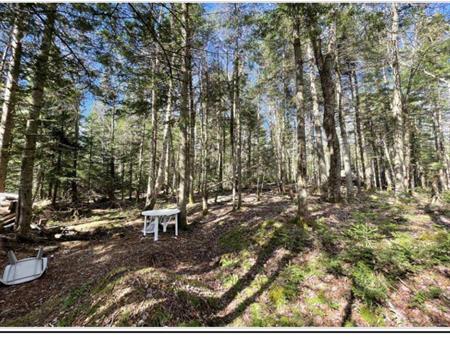🌲 TERRAIN 10 ACRES — Zone Blanche RF-1 — Défriché, Prêt à Construire — Saint-Hermenegilde QC Légèrement négociable pour offr