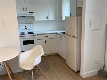 Appartements 1 1/2 à Louer Mont-Bellevue