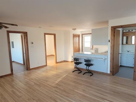 Beau Grand 4 1/2, Fraîchement Rénové