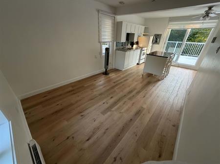Superbe 3 ½ Rénové Avec Immense Terrasse
