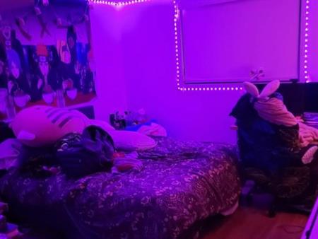 Appartement 4 1/2