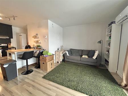 Évangéline Appartement 3 ½ à Louer Limoilou Juillet 2026