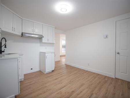 Grand Appartement 4 1/2 à Louer
