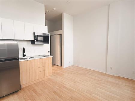 1 CH - 1 SDB - Montréal - $1,199 /mo