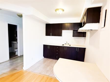 Très Beau 3 1/2 Entièrement Rénové
