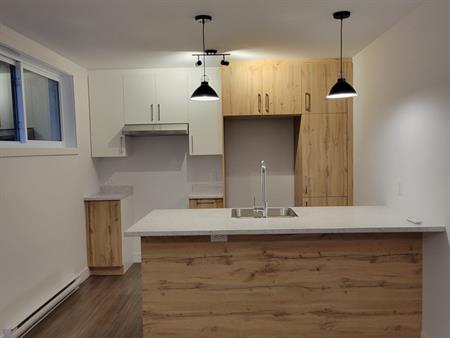 Appartement/logement à Louer