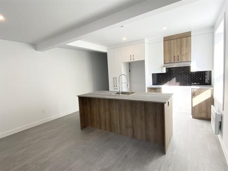BEAU 4 1/2 RÉNOVÉ AVEC THERMOPOMPE