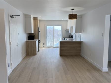 Luxe Rénové 41/2