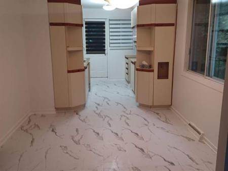 Lasalle 5 1/2 garage, cour, balcon, stationnement /fraichement peinturer disponible immédiatement