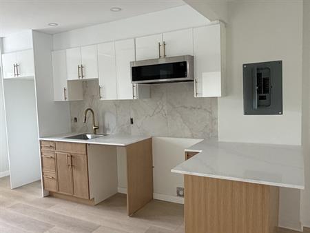 Appartement 4 Et Demi à Louer