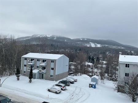 51/2 Bromont, Frig. Lave Remise Et Stati
