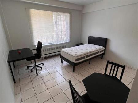 NEAR MCGILL U, GORGEOUS AND RENOVATED 1½ (pateau Mont Royal)