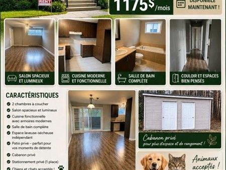 Magnifique 4 ½ à louer à Lachute Secteur paisible 1 175 $/mois Animaux acceptés