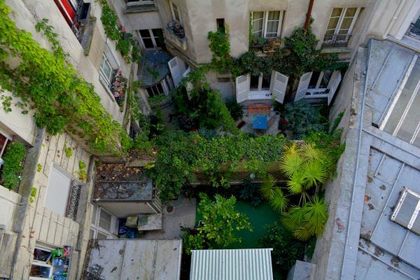 Astuces pour un jardin extérieur pour un appartement