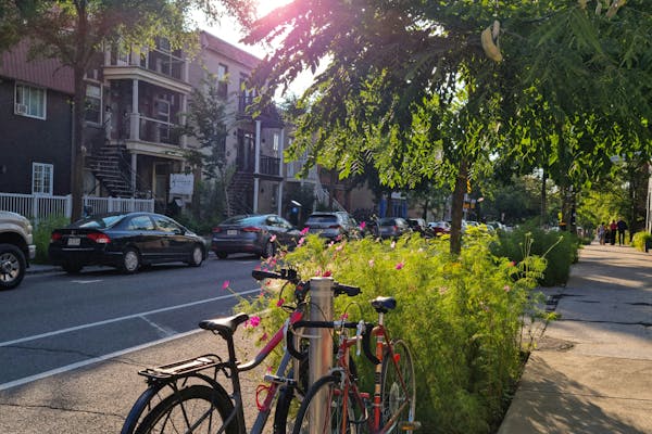 Plateau-Mont-Royal à Montréal, découvrez tout de ce quartier